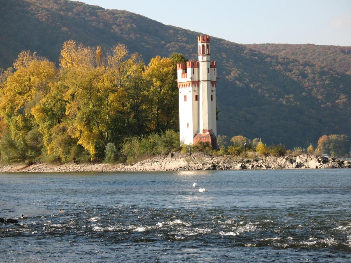 Helle Fewo, 60 Qm, Souterrain, Eigener Eingang, Rhein Und Nahe Bingen am Rhein Dış mekan fotoğraf